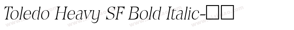 Toledo Heavy SF Bold Italic字体转换